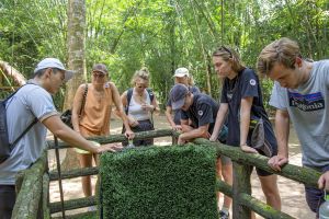 Cu Chi Tunnels & Ben Duoc Temple Tour
