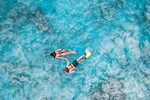 Aruba De Palm Island Day Pass