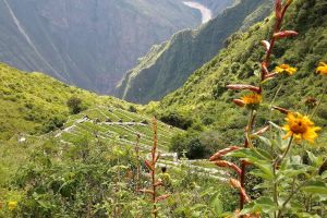 5-Day Choquequirao Trekking Adventure