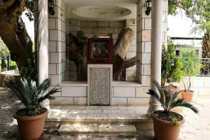 Jericho, Jordan River & Dead Sea Tour