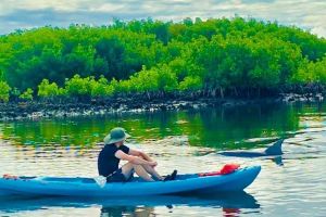 St. Augustine Wildlife Kayak Adventure