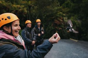 Rotorua Forest Zipline Adventure