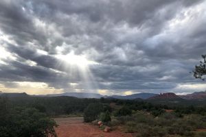 Sedona Sunrise Wildlife Safari