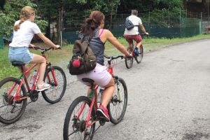 Private Pulau Ubin Bike Tour