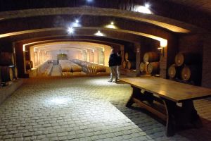 Maipo Valley Wine Tour with 4 Vineyards from Santiago