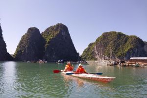 Cat Ba Adventure: Cruise, Kayak, Cycle, Trek 3D/2N