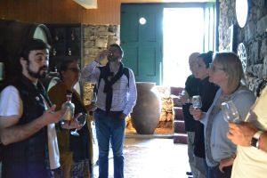 Douro Valley Wine Tour with River Cruise