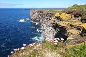5-Day Orkney and Highlands Tour from Edinburgh