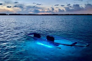 Shell Key Clear Kayak Sunset & Glow Tours