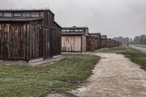 Auschwitz-Birkenau Guided Tour