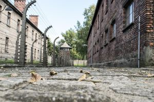 Auschwitz & Birkenau Guided Tour with Pickup