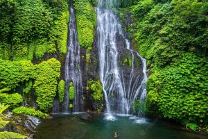 Private Sekumpul & Aling-Aling Waterfall Tour