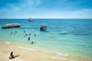 Rosario Islands Snorkeling Adventure