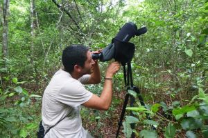 Sian Ka'an Muyil Bird-Watching Tour