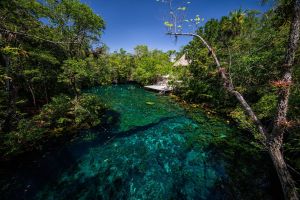 Tulum Ruins & Cenotes Jungle Adventure