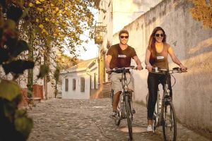 Granada Private Electric Bike Tour