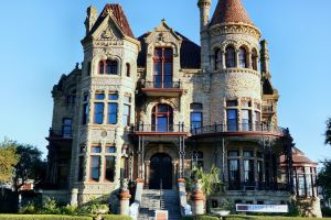 Galveston Dolphin Cruise & Elissa Tour