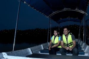Kuala Selangor Firefly Tour with Seafood Dinner