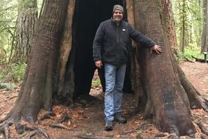 Seattle to Olympic National Park Day Tour