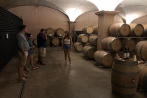 Cava Vineyard & Sitges Day Trip