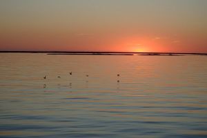 Ria Formosa Sunset Boat Tour