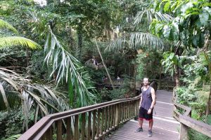 Ayung River Rafting and Ubud Tour