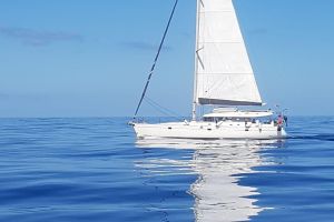 Sailing Tour to Tavolara and Dolphin Search