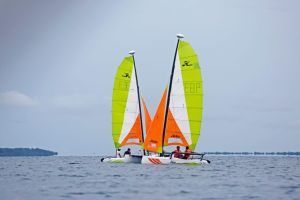 Private Eco-Catamaran Tour with Kayaks