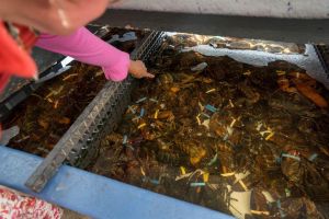 Boston Seafood Lovers Adventure