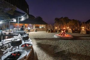 4-Day Pilanesberg Safari at Ivory Tree Game Lodge