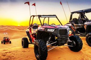 Dubai Desert Adventure: Buggy, Camel Ride & Sand Skiing
