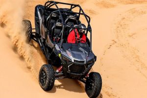Dubai Desert Adventure: Polaris Buggy, Camel Ride & Sand Skiing