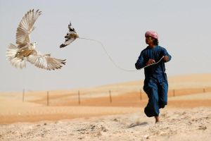 Private Desert Safari with Falcon Show