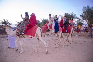 Dubai Camel Caravan with BBQ Dinner Buffet