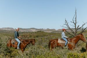 East Zion Pine Knoll Horseback Ride