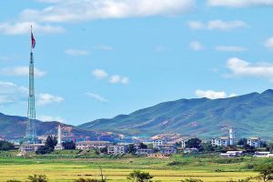 365-Day DMZ Special Tour