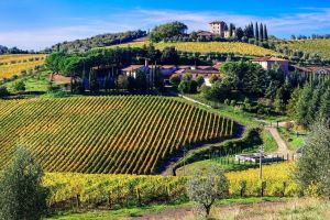 Tuscany Day Trip: Pisa, San Gimignano and Siena with Lunch