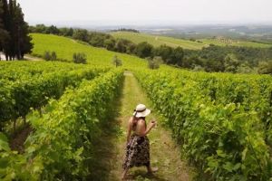 Tuscan Vineyard Dinner Experience