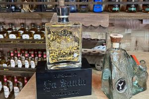 Clear Boat Adventure & Cabo City Tour