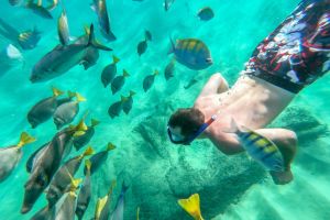 Cabo San Lucas Arch & Snorkeling Tour