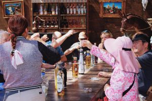 Cabo San Lucas Whale Watching Cruise