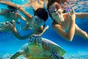 Half-Day Snorkeling Adventure from Margaritaville
