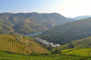 Douro Valley Wine Tour with Lunch