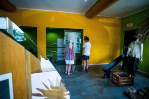 Aruba Island Highlights Tour