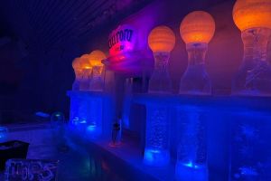 Northern Lights & Chena Hot Springs Tour