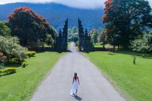 North Bali Waterfall & Hidden Hills Tour