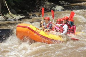 Ayung River White Water Rafting Adventure