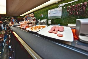 Anchorage Winter City Tour with Wildlife Sightings