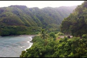 Oahu Grand Circle Island Experience