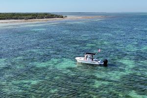Key West Private Sandbar & Snorkeling Charter